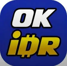OKIDR - Game MOBA Seru dan Menarik untuk Semua Pecinta Battle